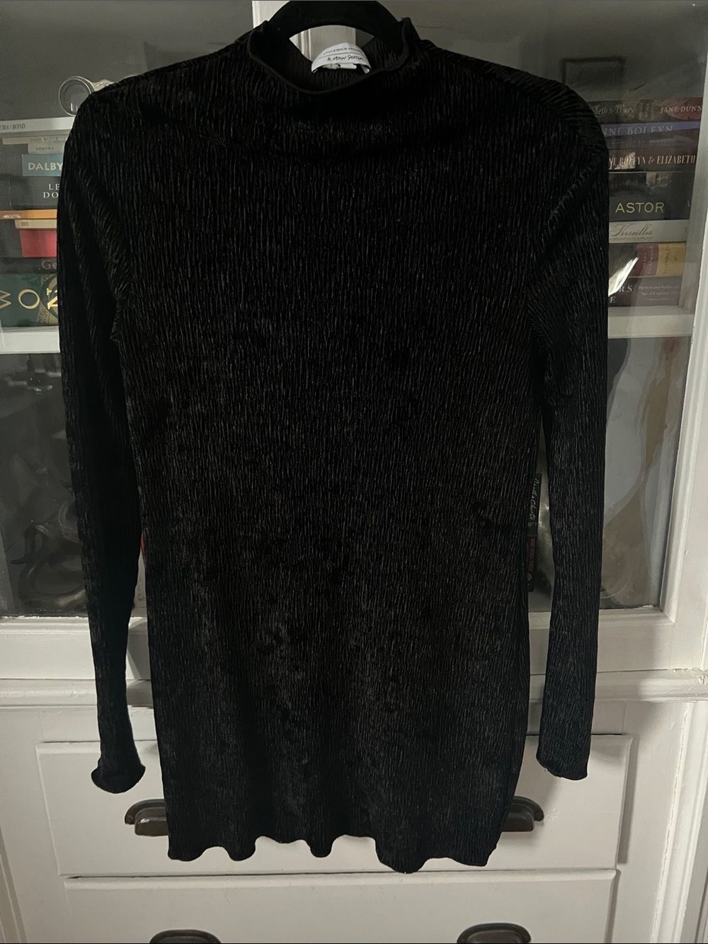 & Other Stories Black Long Sleeve Mock Neck Velvet Dress